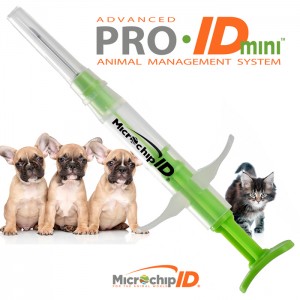 Pro-ID MINI Chip 25-Count