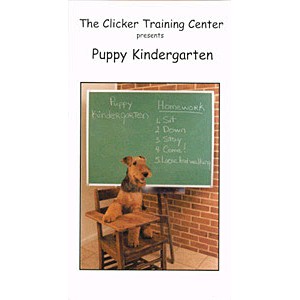 Puppy Kindergarten DVD