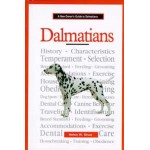 A New Owner's Guide To Dalmatians