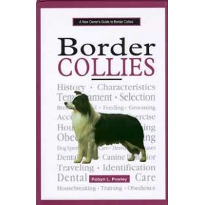 A New Owners Guide to Border Collies
