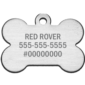 Dog Tag - Stainless Steel